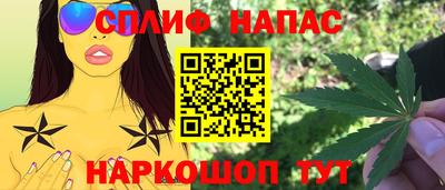 ГАЛЛЮЦИНОГЕННЫЕ ГРИБЫ Заволжье