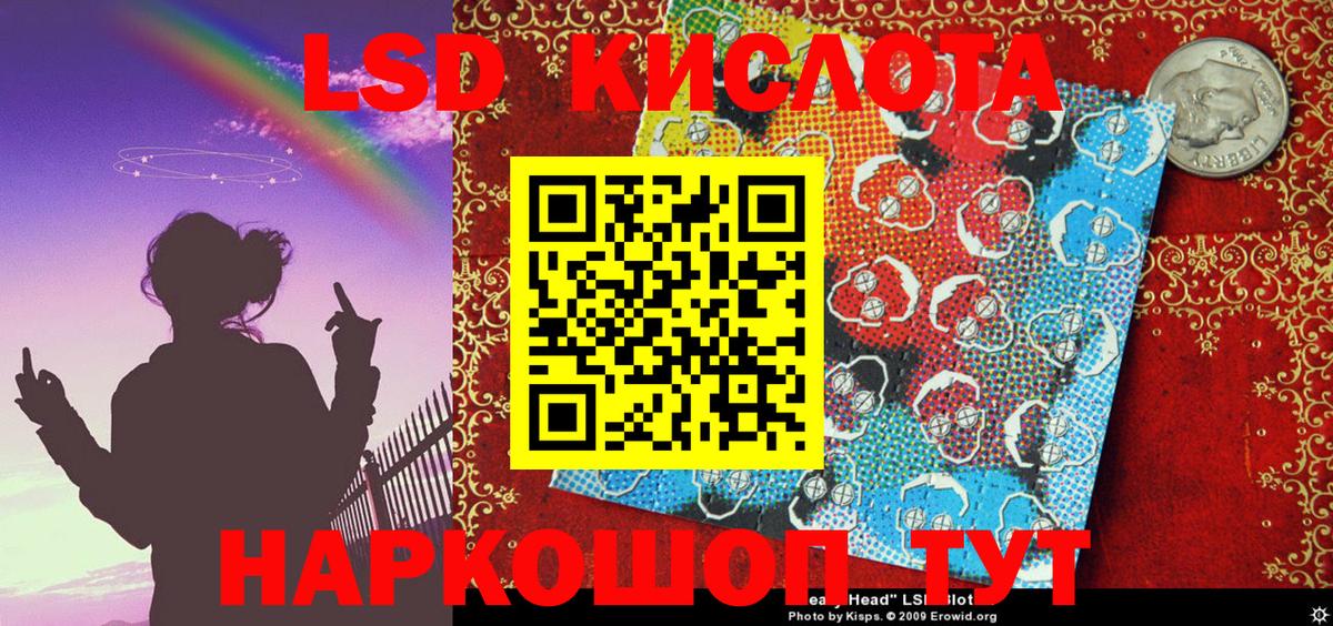 Лесной  Марки N-bome 1,5мг  Марки N-bome  Вход с VPN 