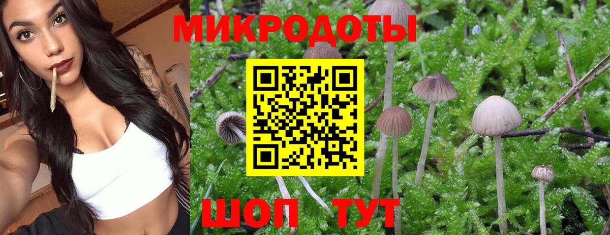 Лесной  Галлюциногенные грибы Magic Shrooms  Вход с VPN 