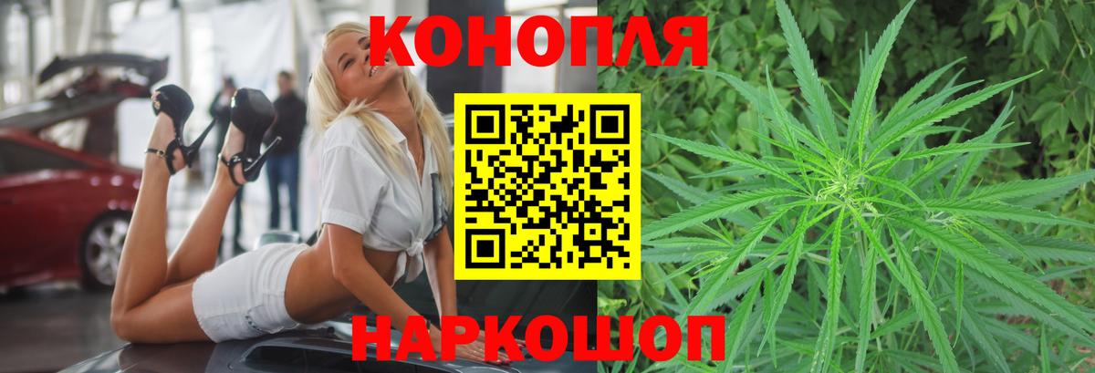 Марихуана сатива Лесной